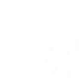 Terence Naidoo (Terry)